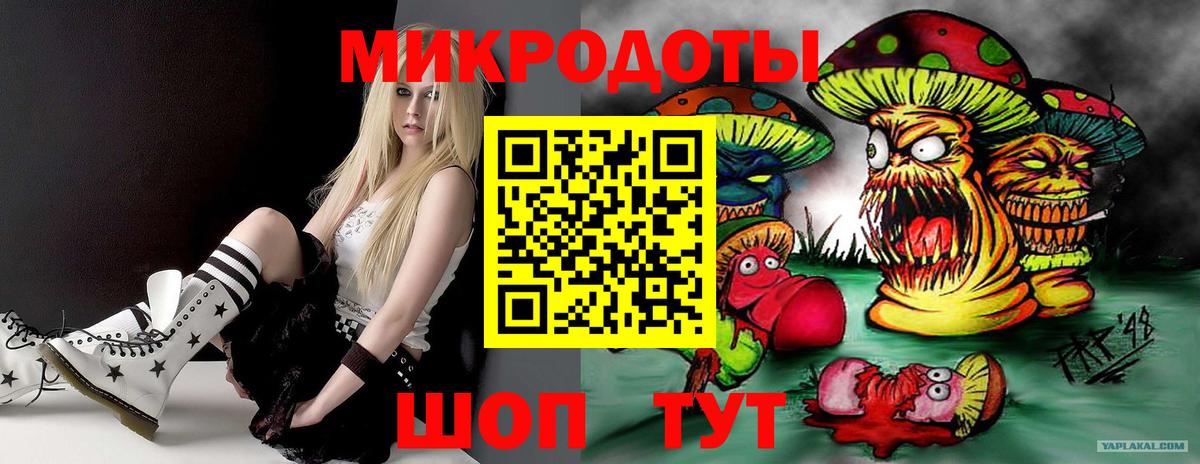 Петропавловск-Камчатский  Галлюциногенные грибы Cubensis  Вход с VPN 